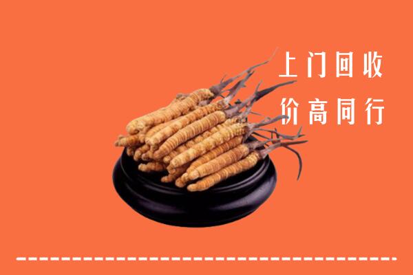 高价求购：乌达区回收散虫草