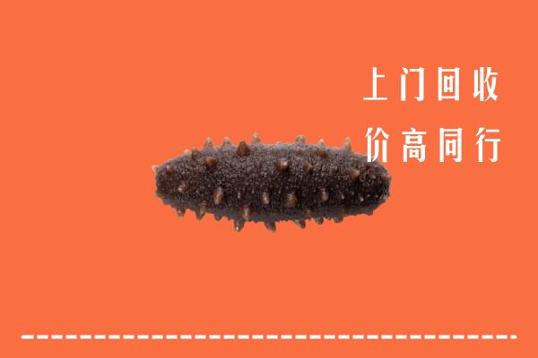 乌达区回收海参