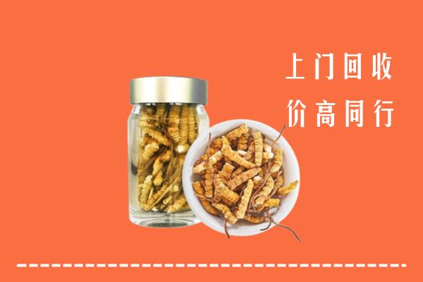 乌达区回收冬虫夏草