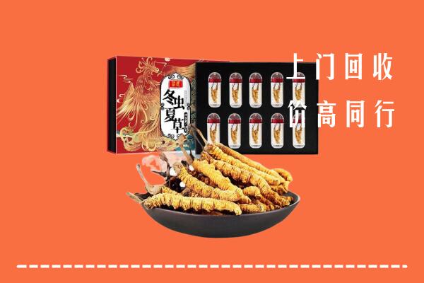 乌达区回收虫草